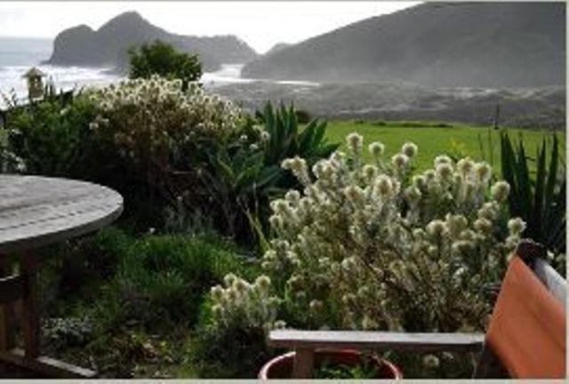 Bethells Beach Cottages Exterior foto
