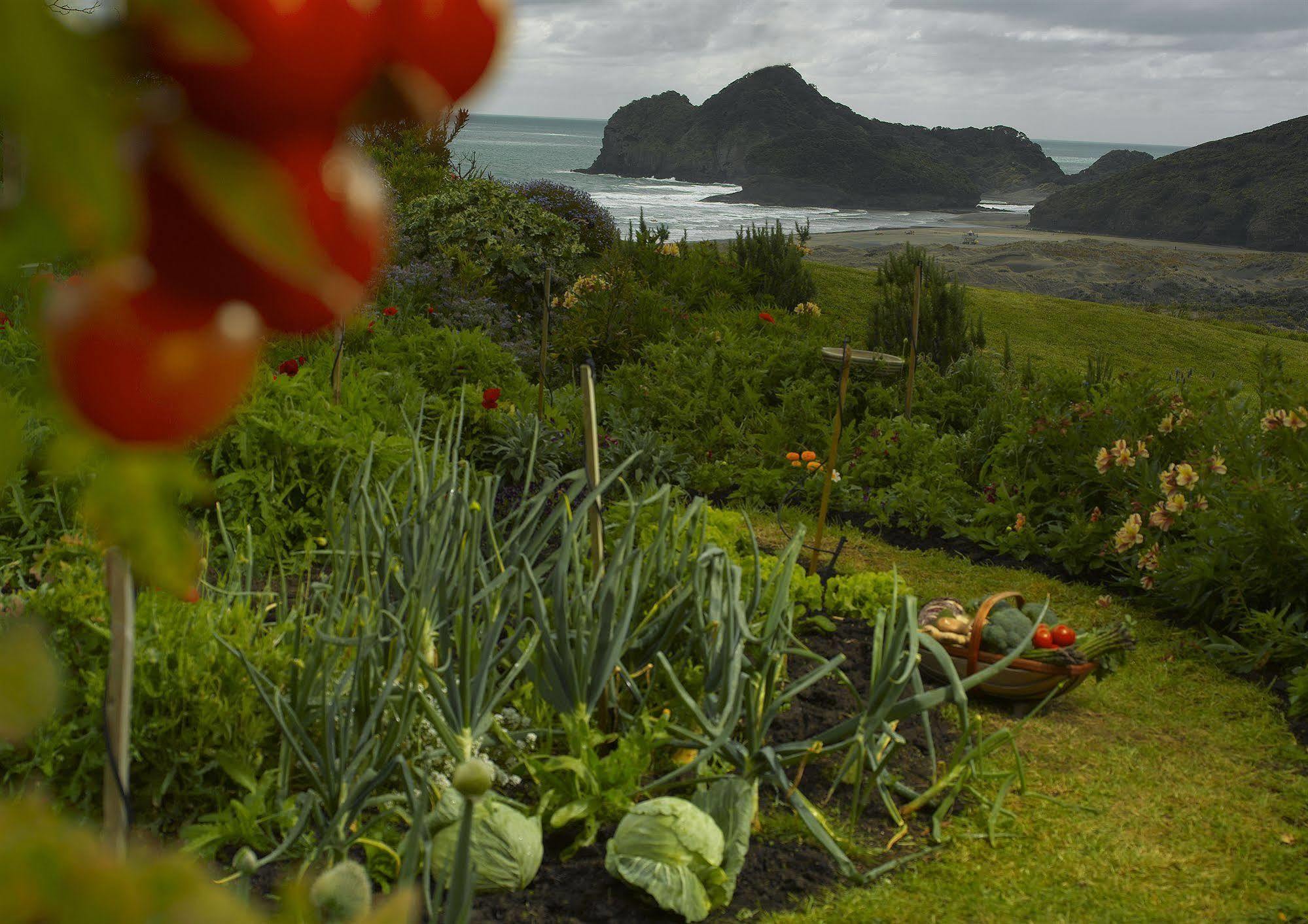 Bethells Beach Cottages Exterior foto